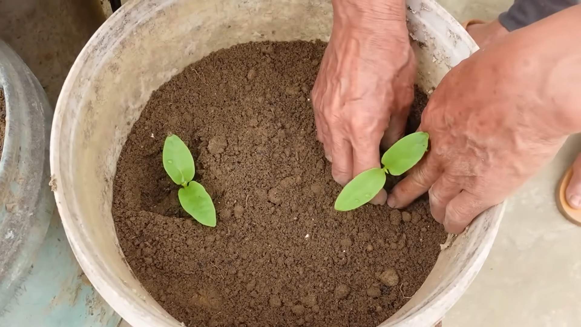 Indoor Vegetable Tower