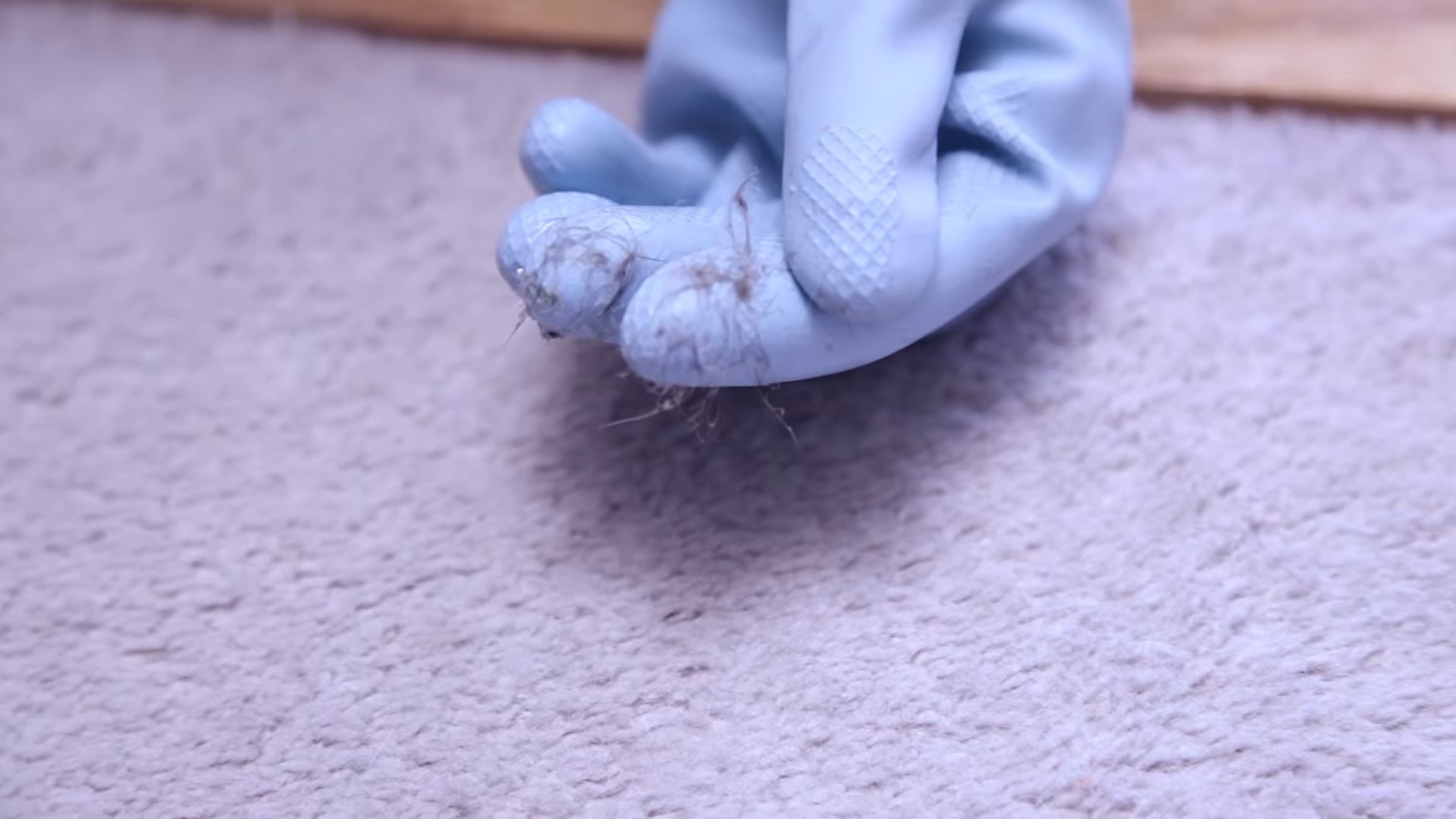 Pet Hair Removal Home