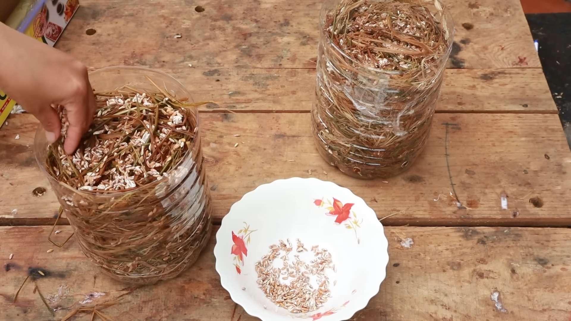 Mushroom Farming at Home