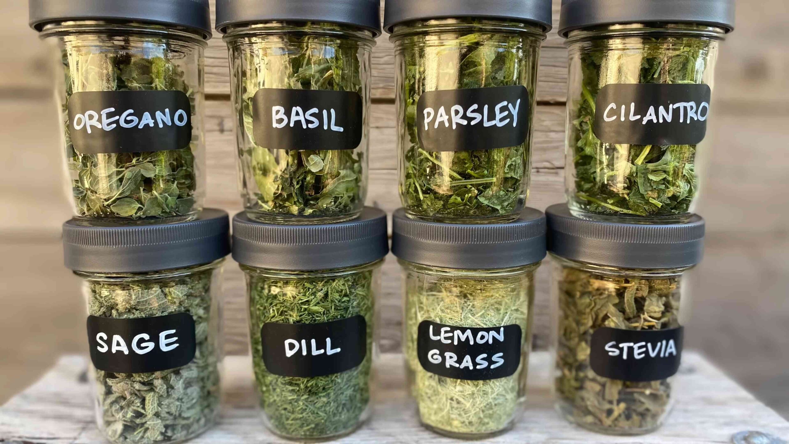 Summer herbs to grow