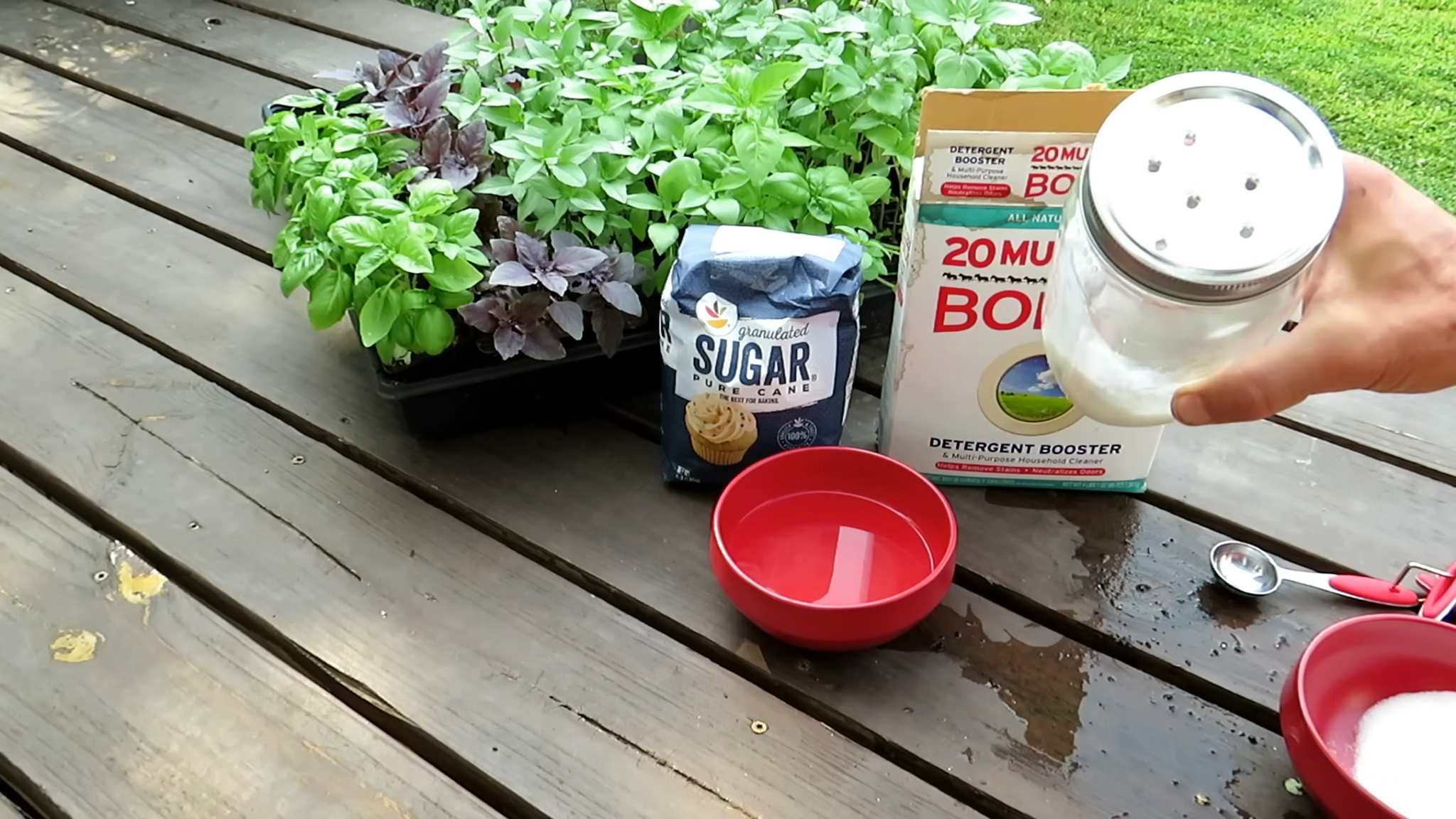 DIY ant killer